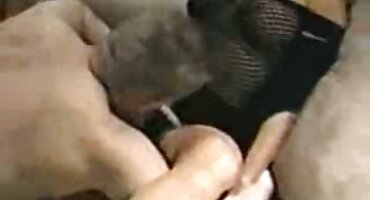 azhua sex Kimm kim kim được fucked bởi một người lạ và bị phim set gai dep ướt với kiêm.